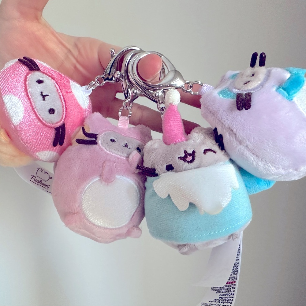 NWT Pusheen mystery-box keychain